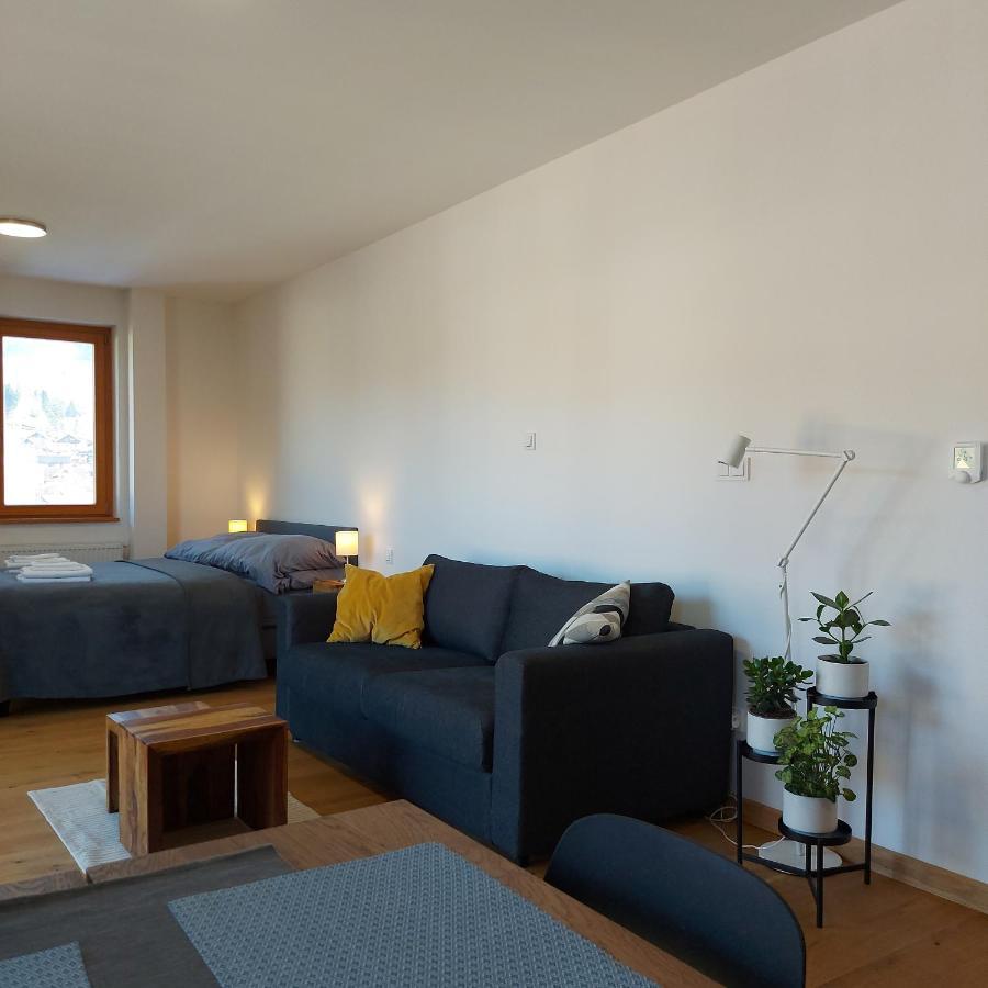 Studio Apartman 22, Rezidence Javor Zelezna Ruda Exterior foto