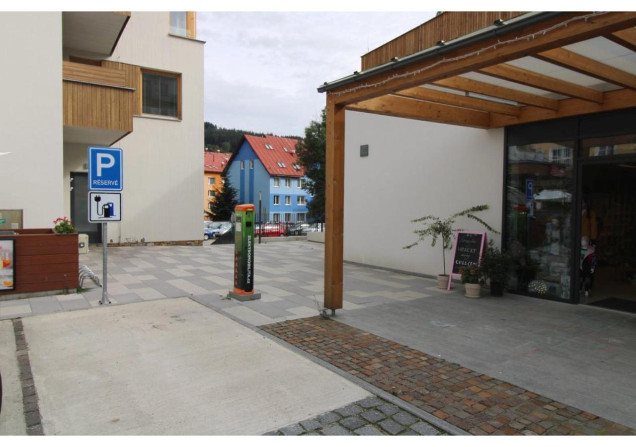 Studio Apartman 22, Rezidence Javor Zelezna Ruda Exterior foto