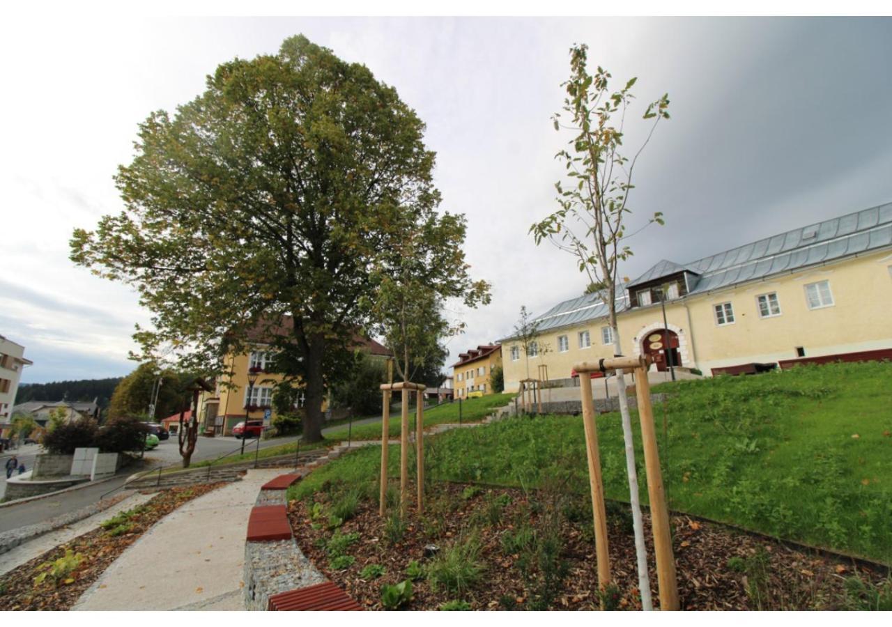 Studio Apartman 22, Rezidence Javor Zelezna Ruda Exterior foto