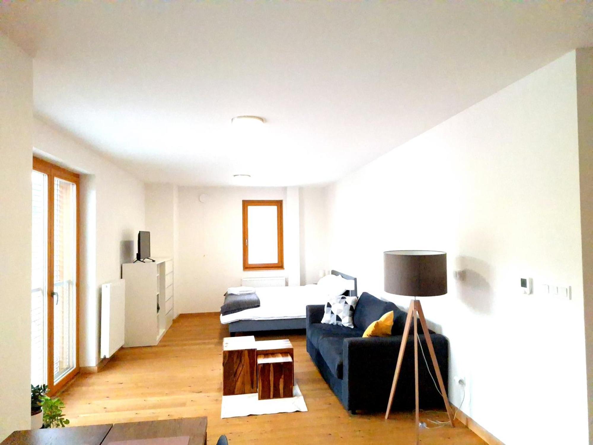 Studio Apartman 22, Rezidence Javor Zelezna Ruda Exterior foto
